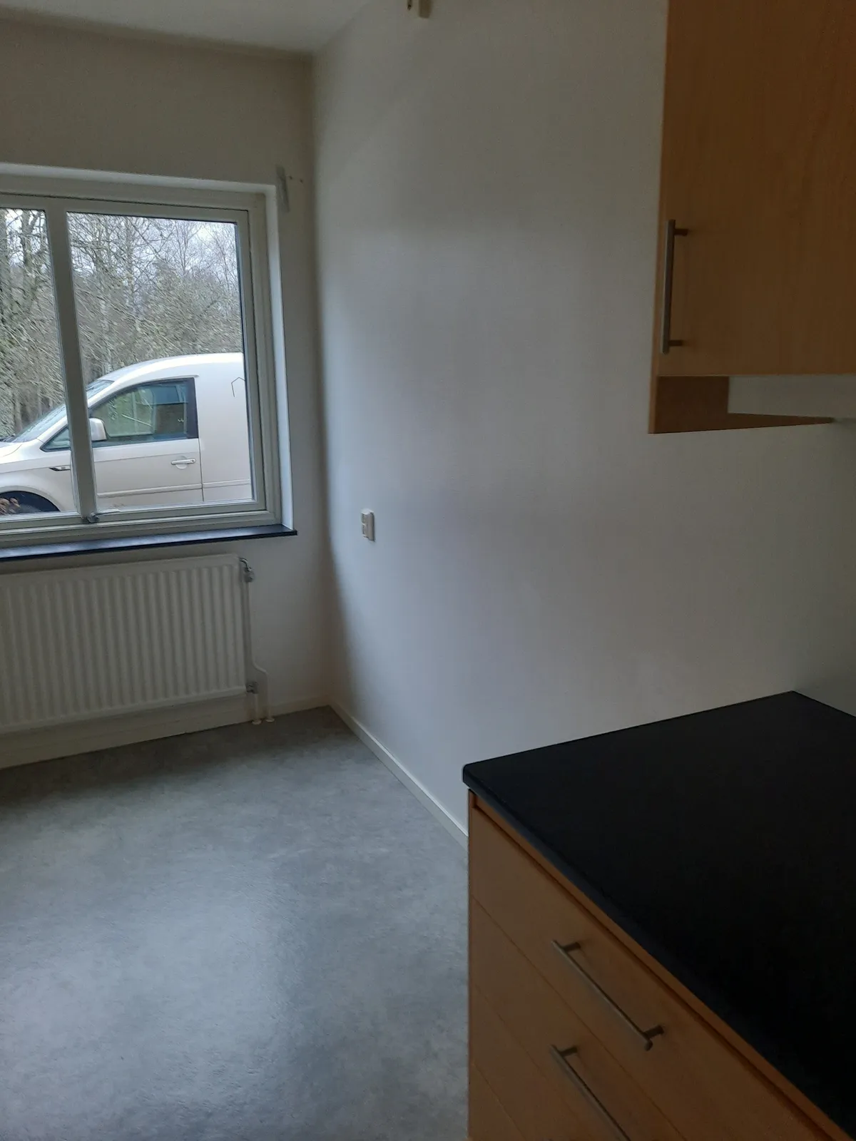 Björkvägen i Kosta