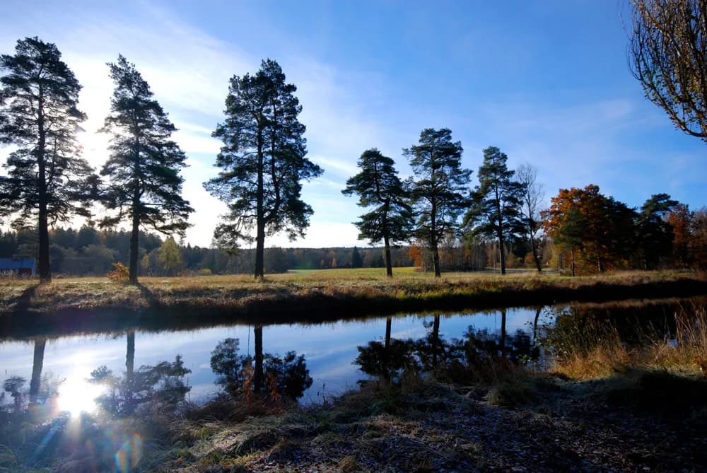 Excellentvägen i Fellingsbro