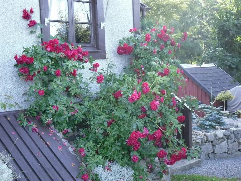 Horsarydsvägen i Karlshamn