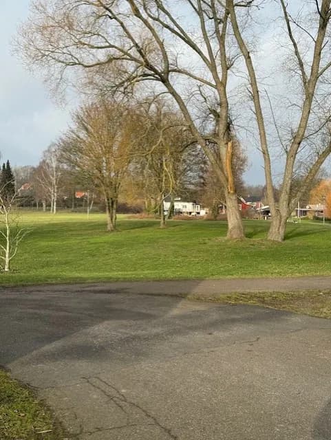 Svalgatan i Torsås