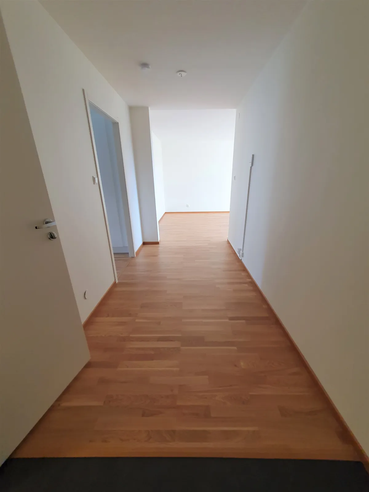 Liljebergsgatan i Borås
