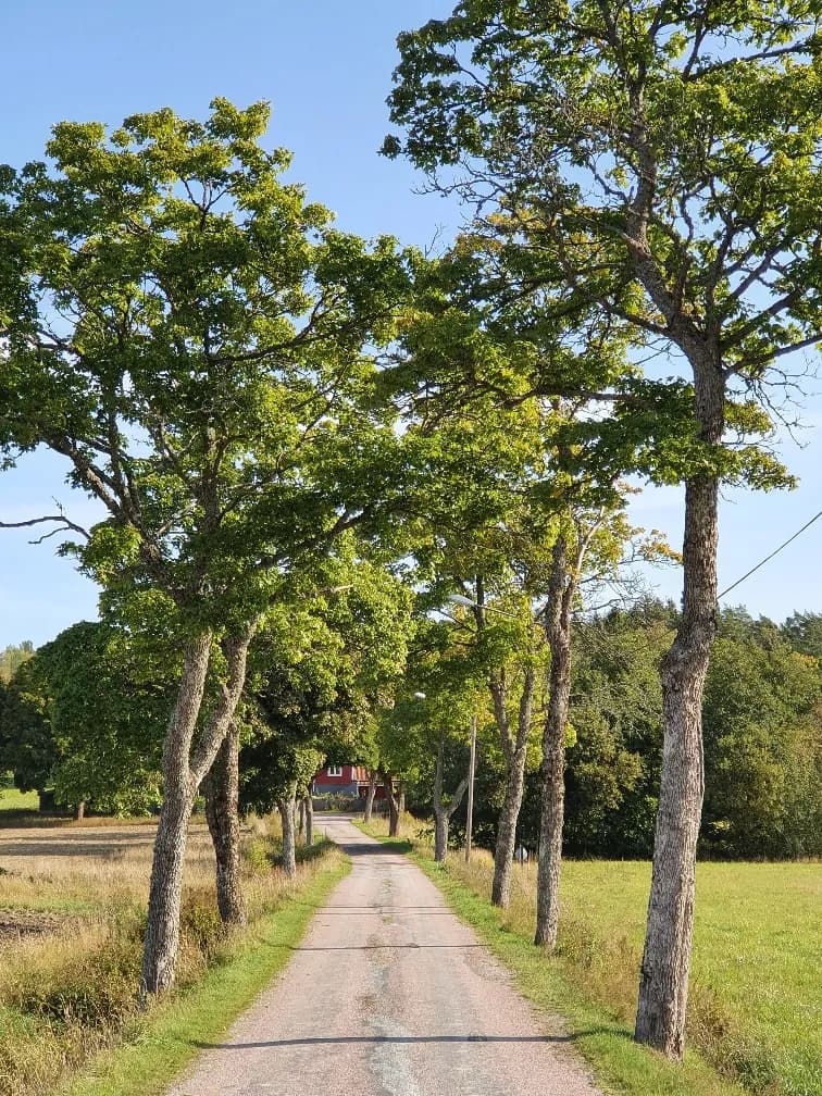 Svärta Prästbol Hovby i Nyköping