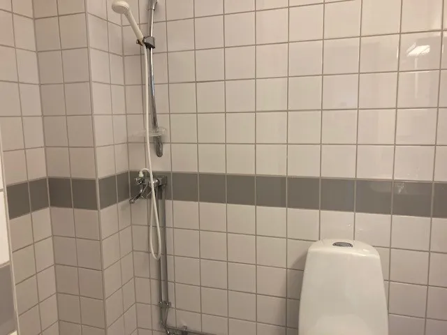 Ludvikagatan i Helsingborg