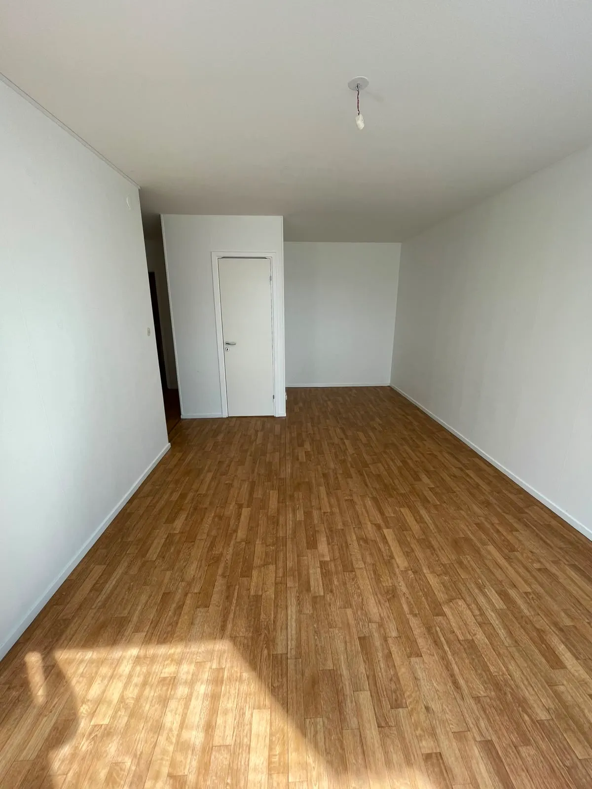 Lövnäsvägen i Fellingsbro
