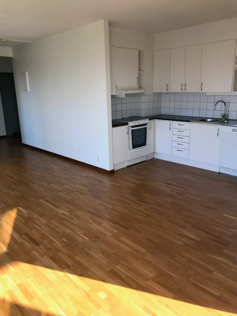 Fredagsgatan i Helsingborg