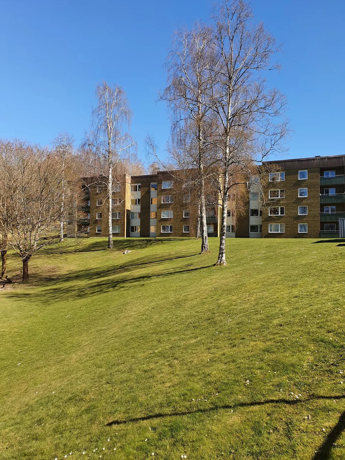 Liljebergsgatan i Borås