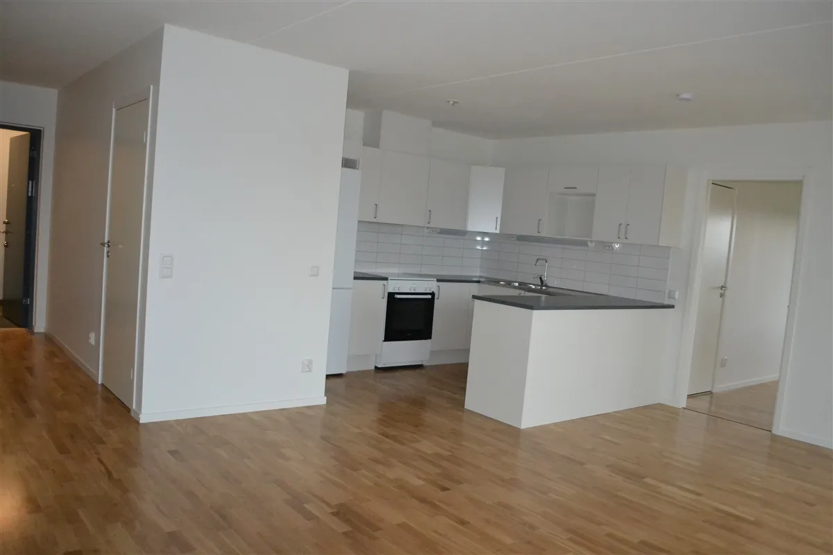 Monarkivägen i Falkenberg