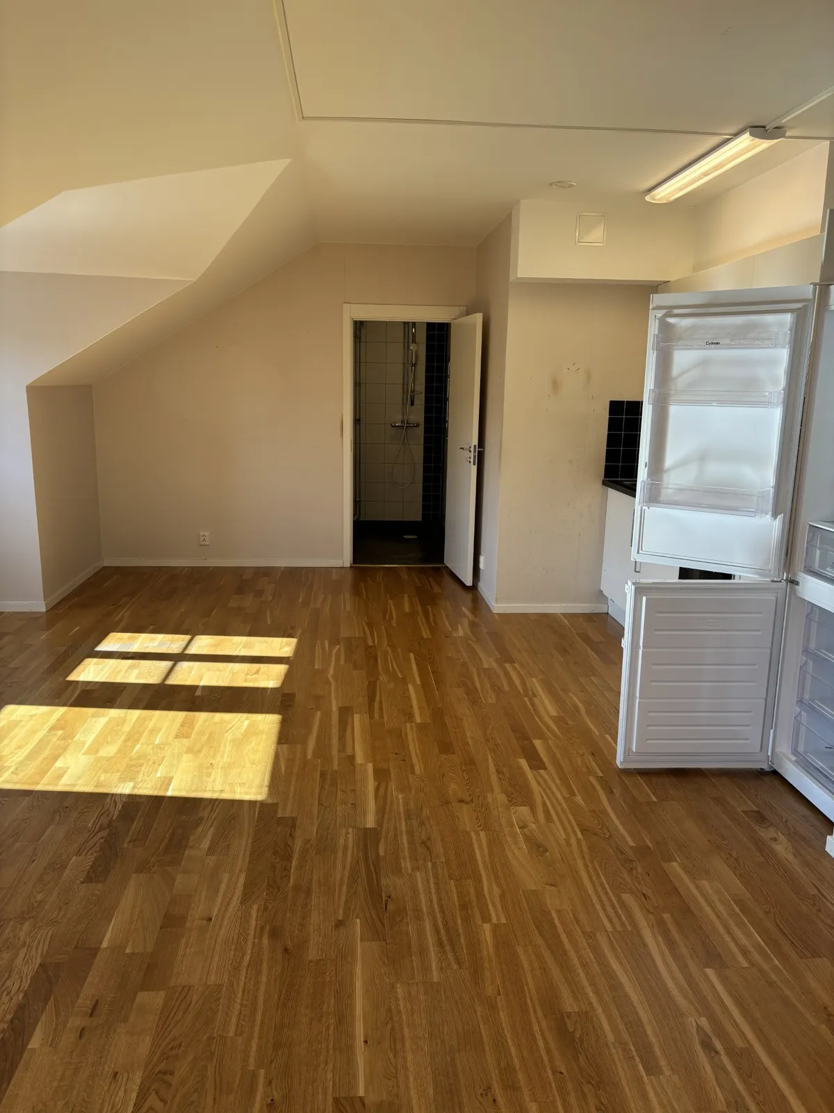Fredsgatan i Sala