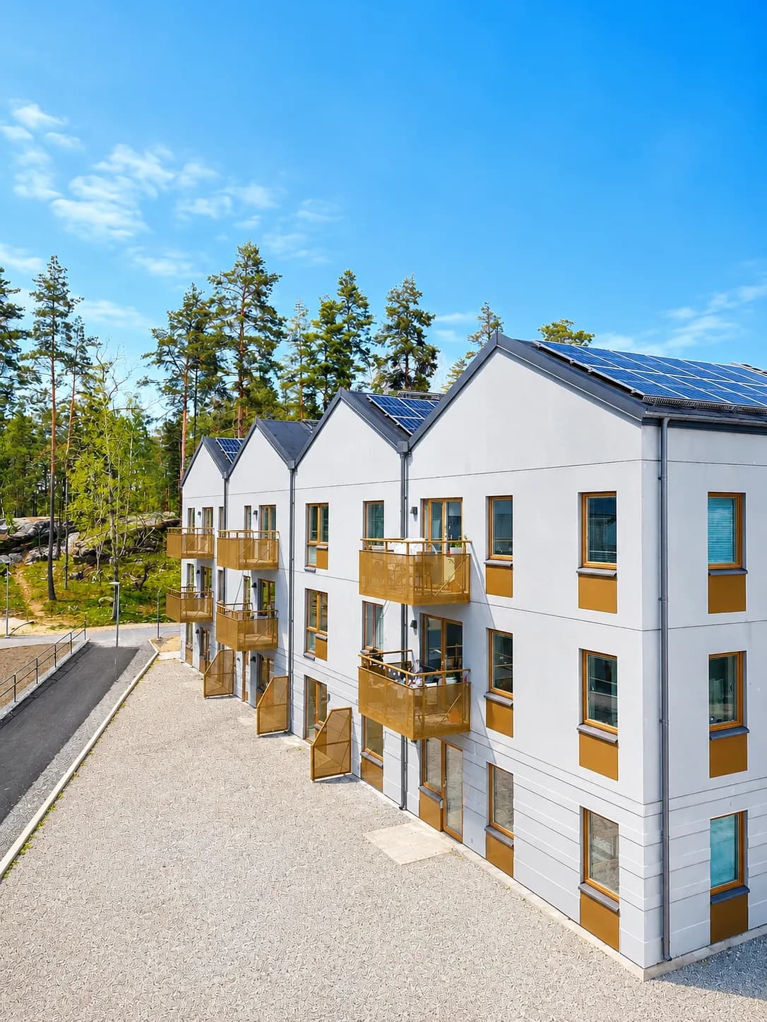 Taggsvampsvägen i Nykvarn
