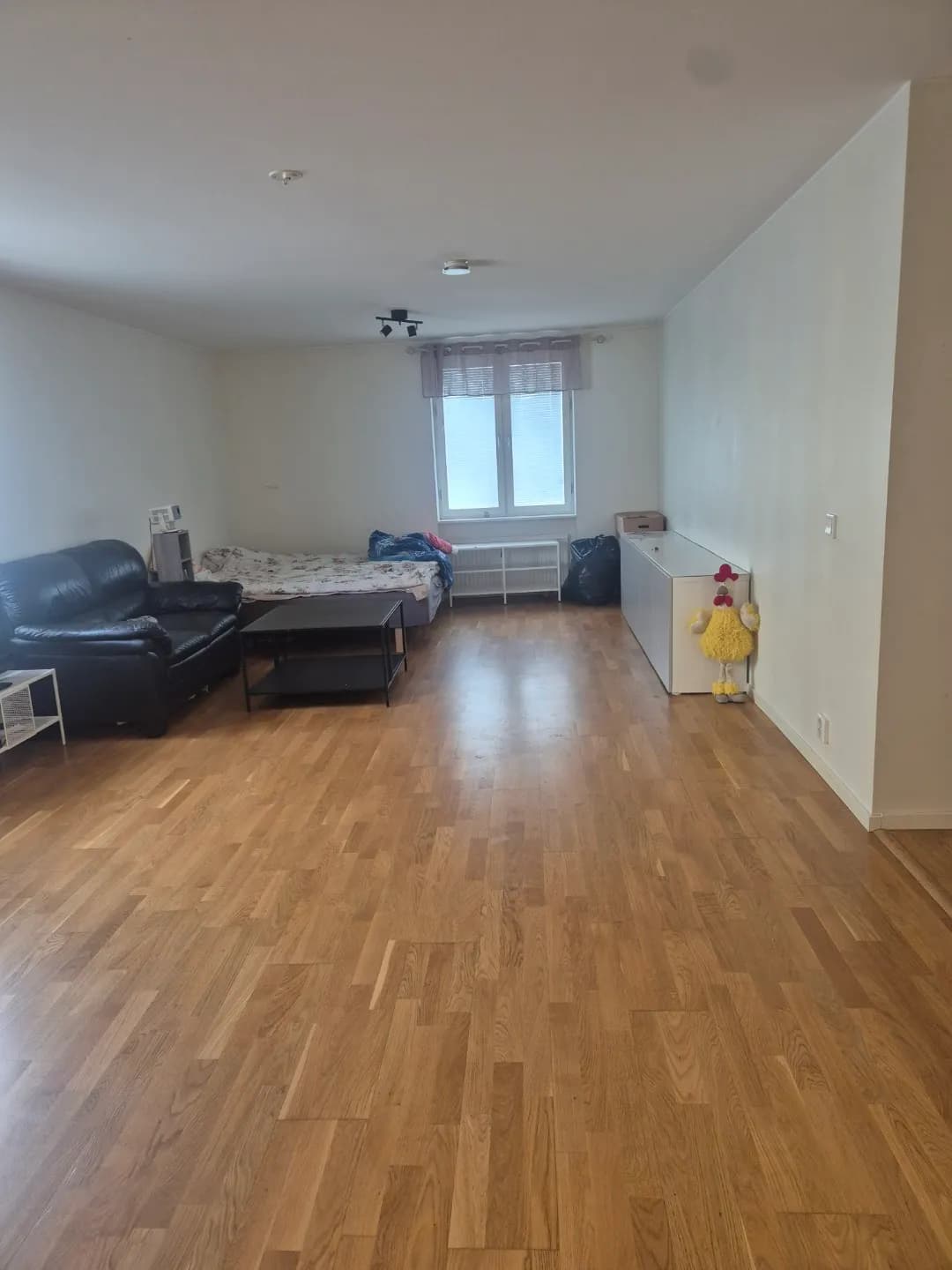 Berzeliigatan i Borås