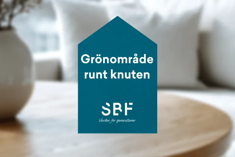 Ålfiskaregatan i Borgholm