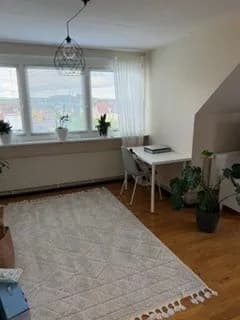 Ribbingsgatan i Borås