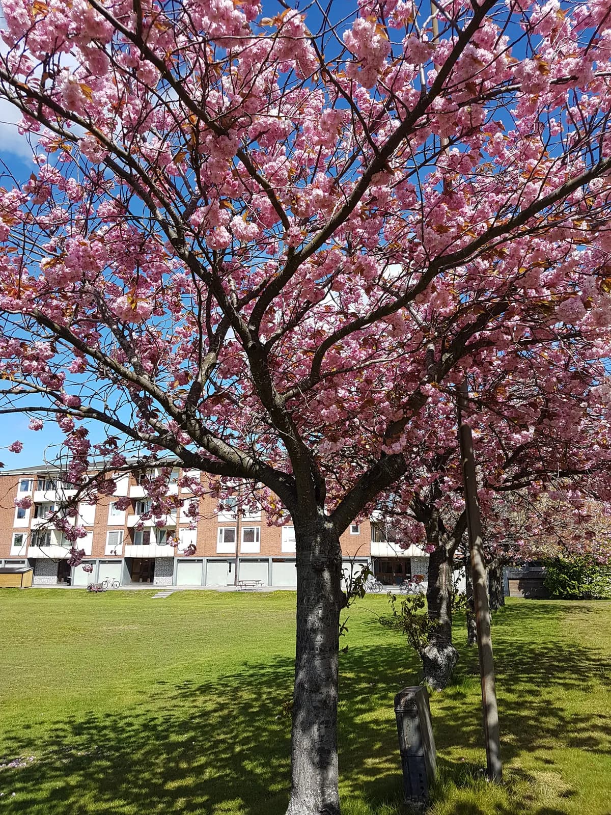 Sjögatan i Oxelösund