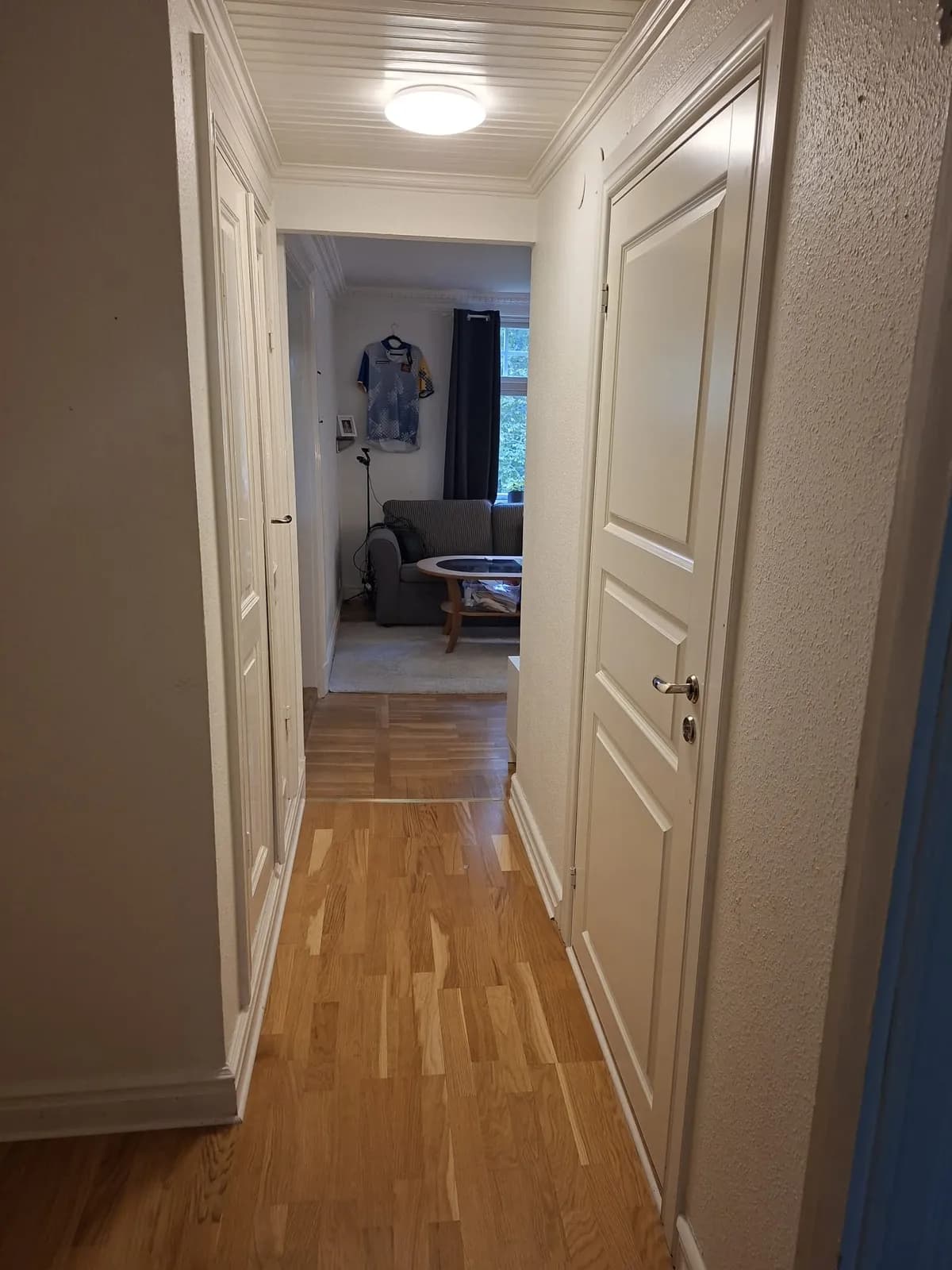 Torestorpsvägen i Mullsjö