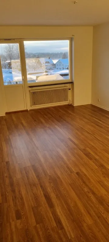Läkarvägen