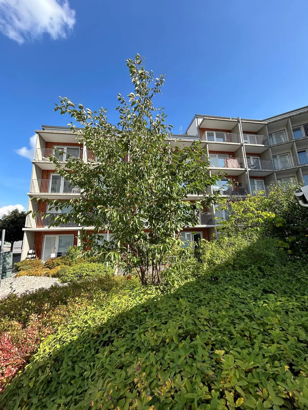 Johanneshöjden i Västerås