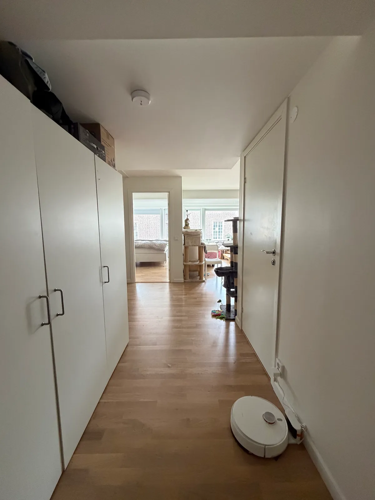 Lilla Brogatan i Borås