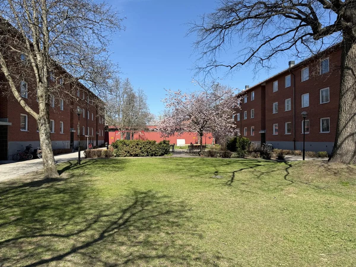 Aqueligatan i Sala
