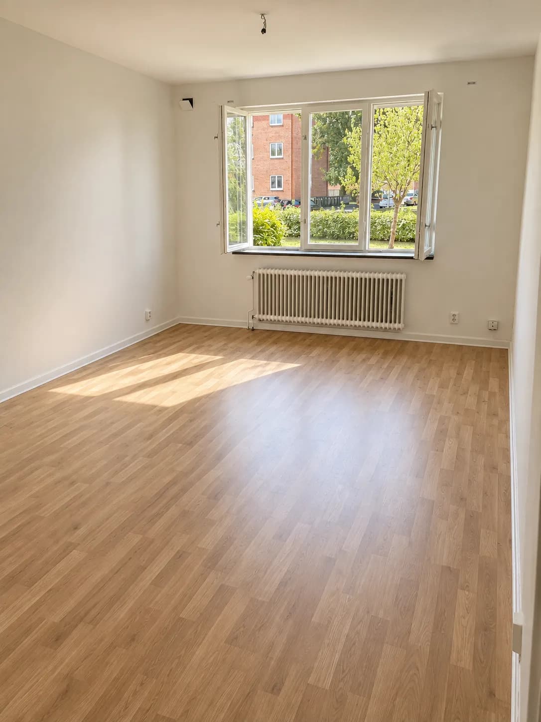 Snapphanegatan i Hässleholm