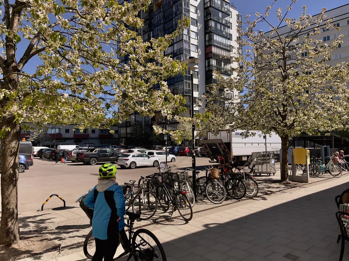 Murvägen i Trångsund