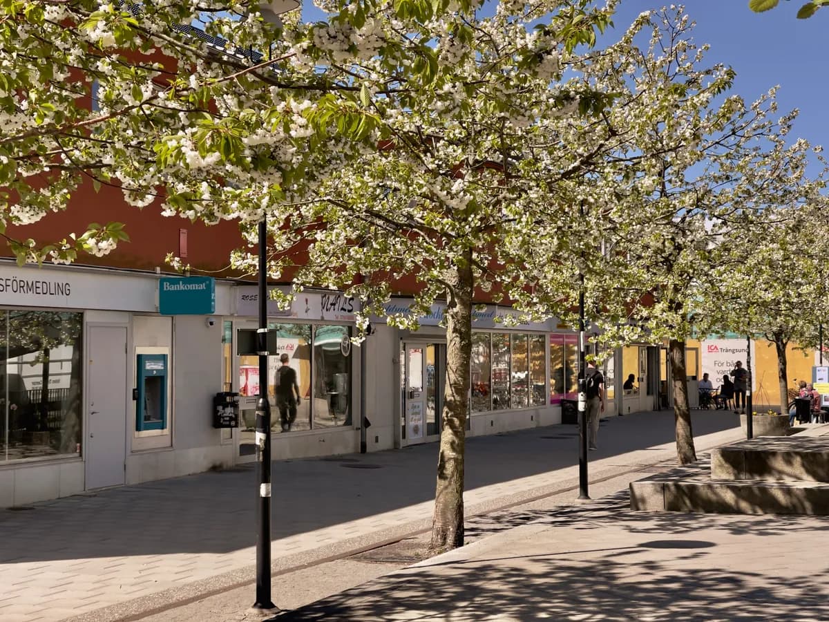 Murvägen i Trångsund