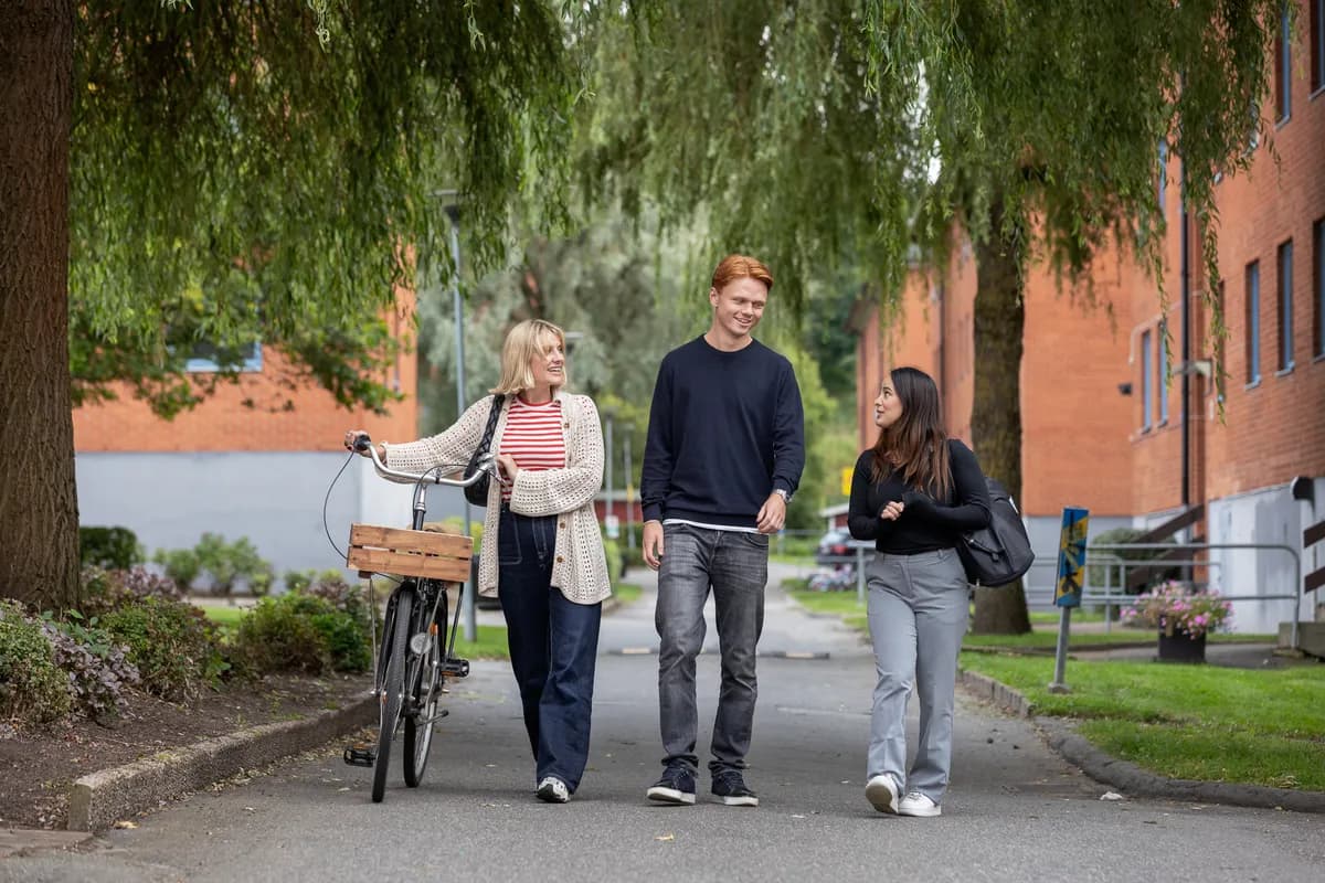 Nergårdsvägen i Göteborg
