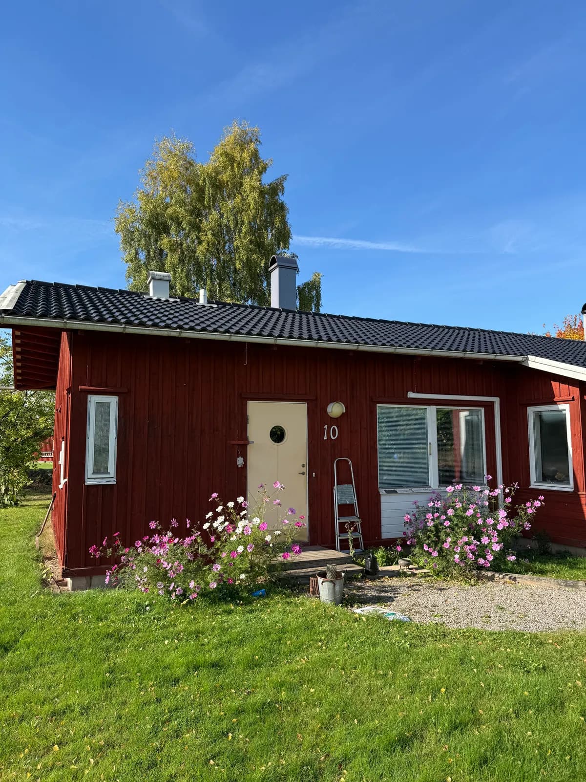 Vänga lyckor i Fristad