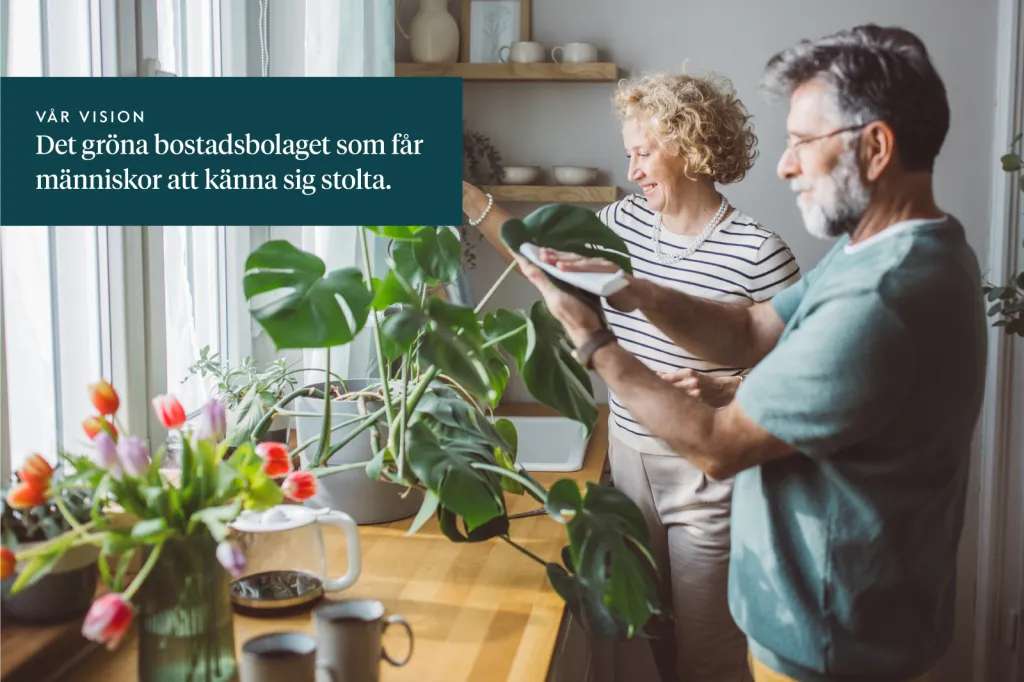 Myggbogatan i Västerås