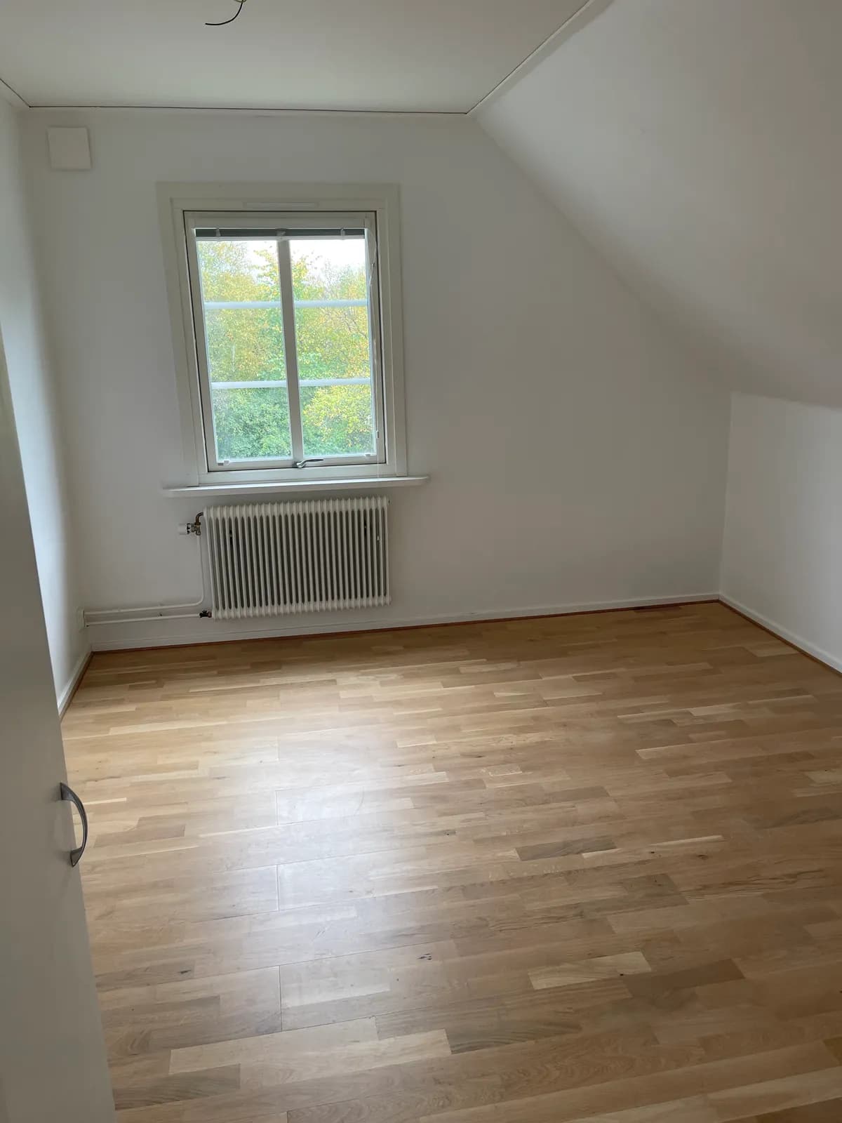 Gamla Nissastigen i Oskarström