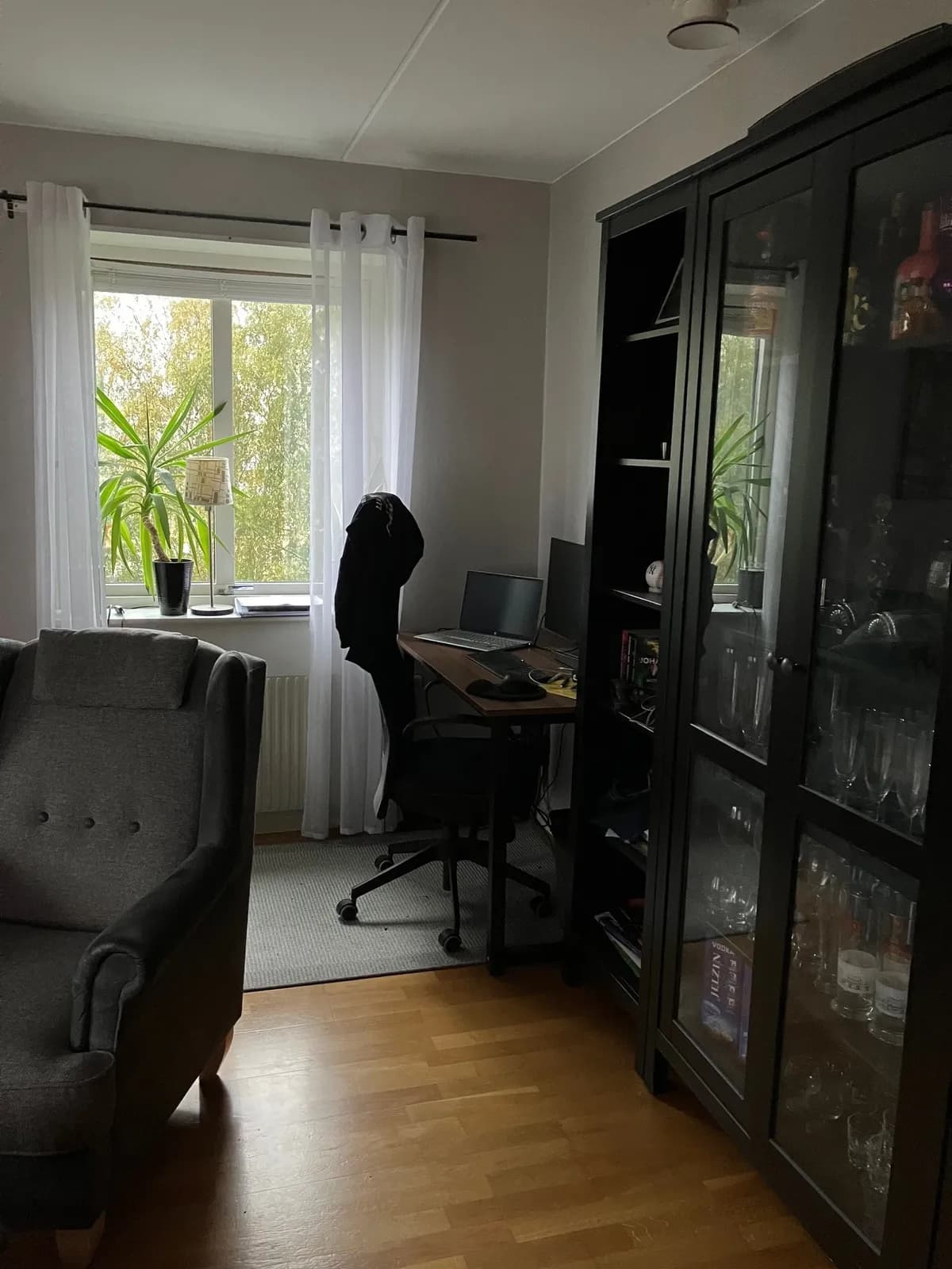 Alingsåsvägen i Borås