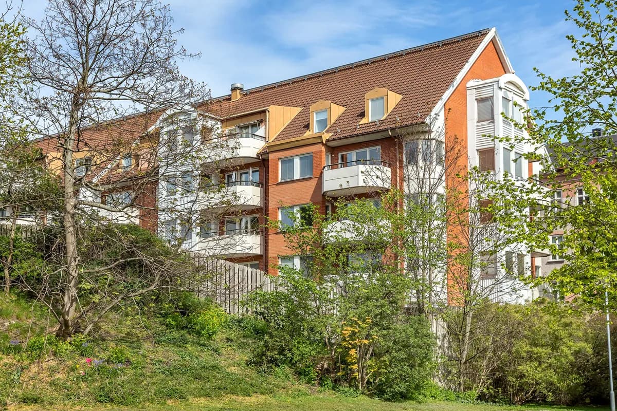 Högamöllegatan i Malmö