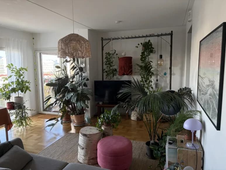 Vintergatan i Sundbyberg