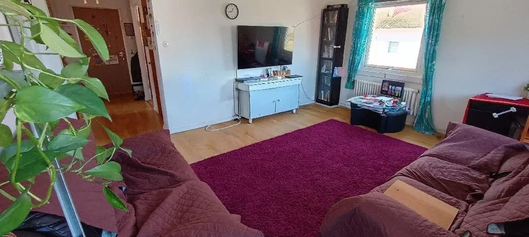 Ulvens gata i Borås