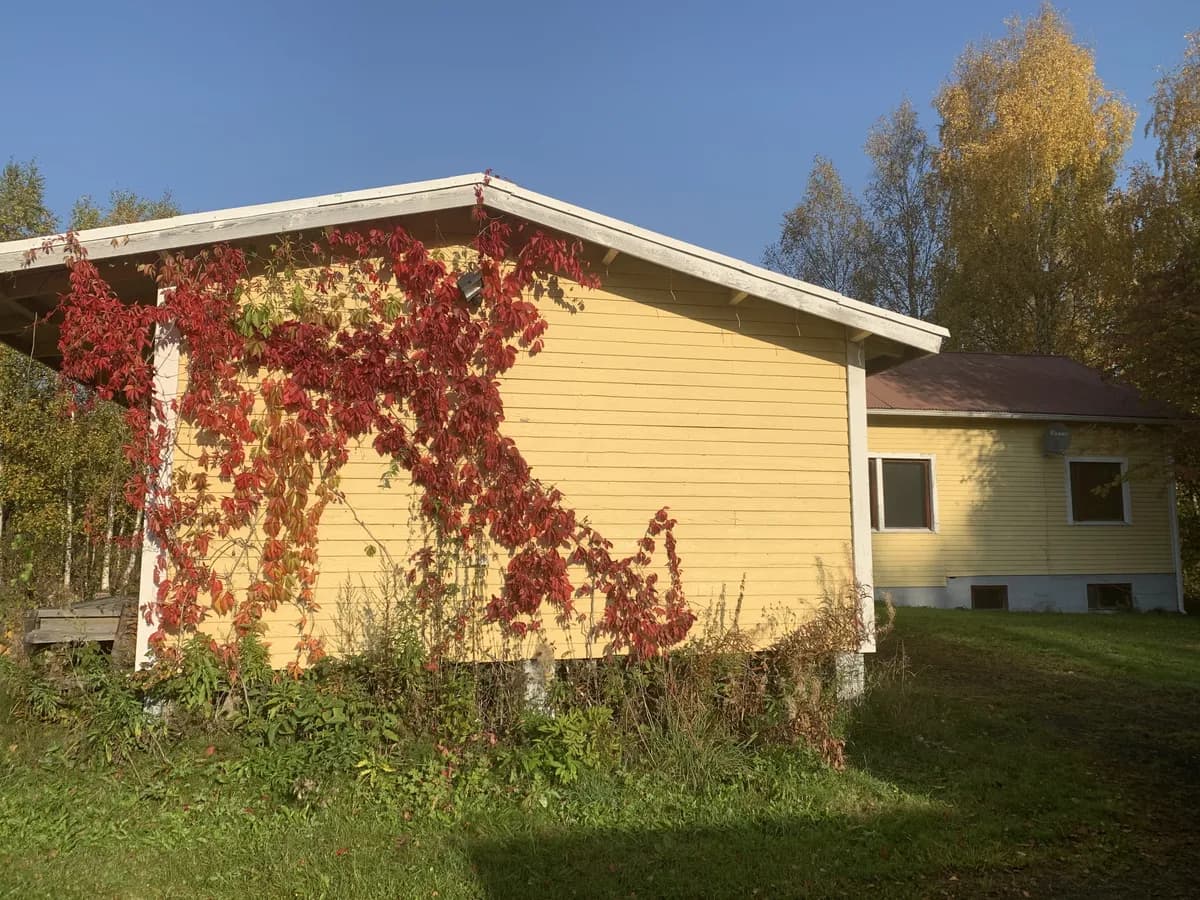 Värtsiläntie i Niirala