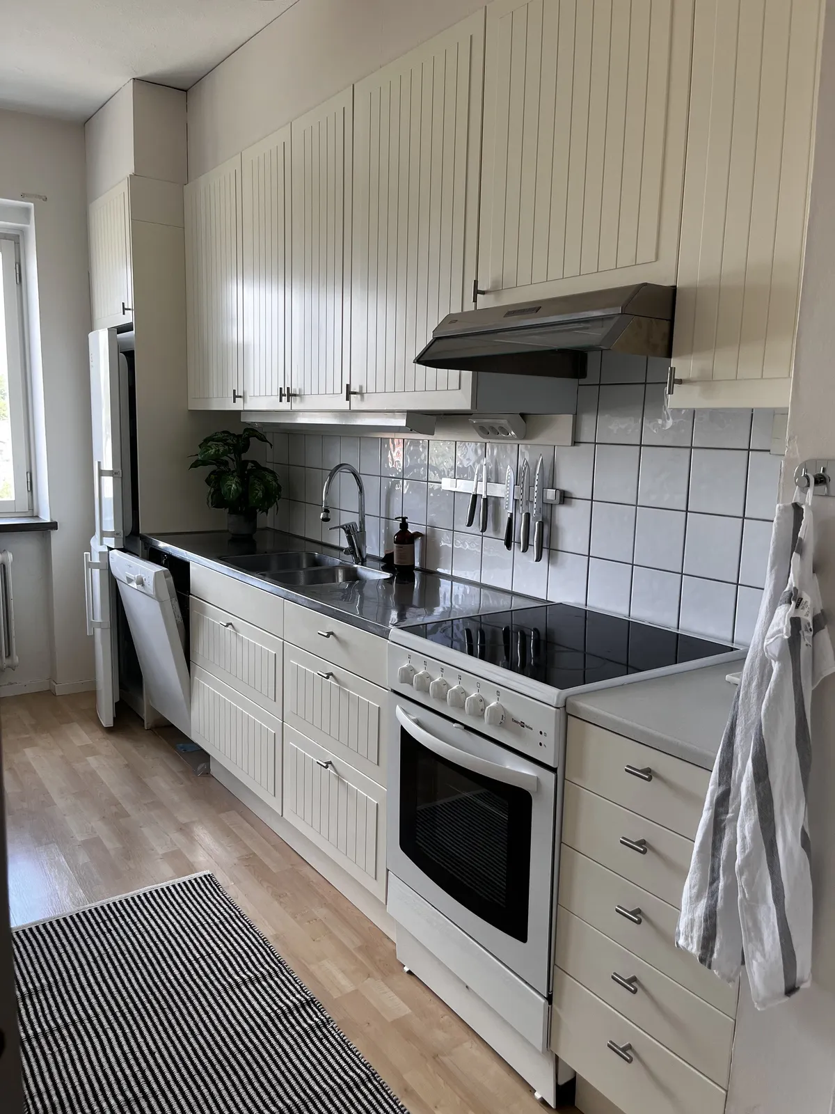 Värpatorparens väg i Hässleholm