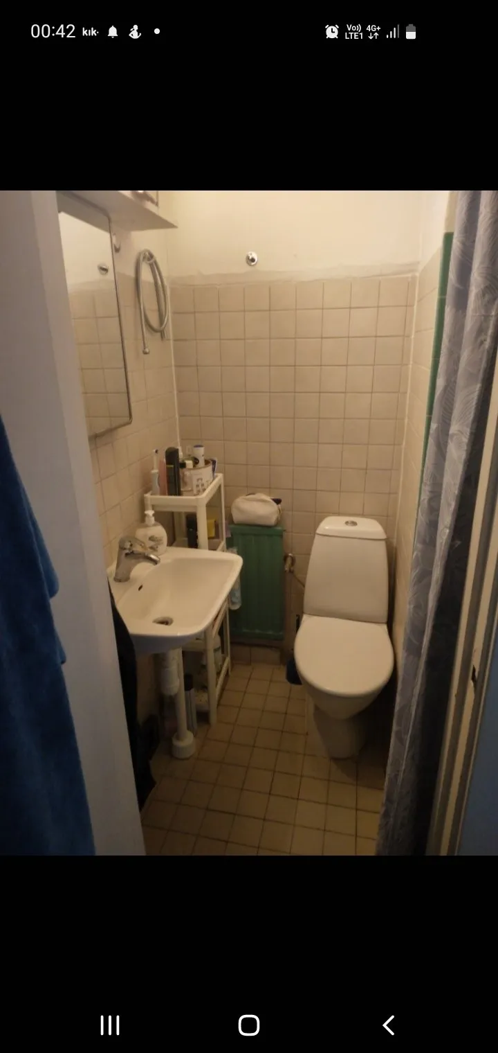 Landsvägen i Skivarp