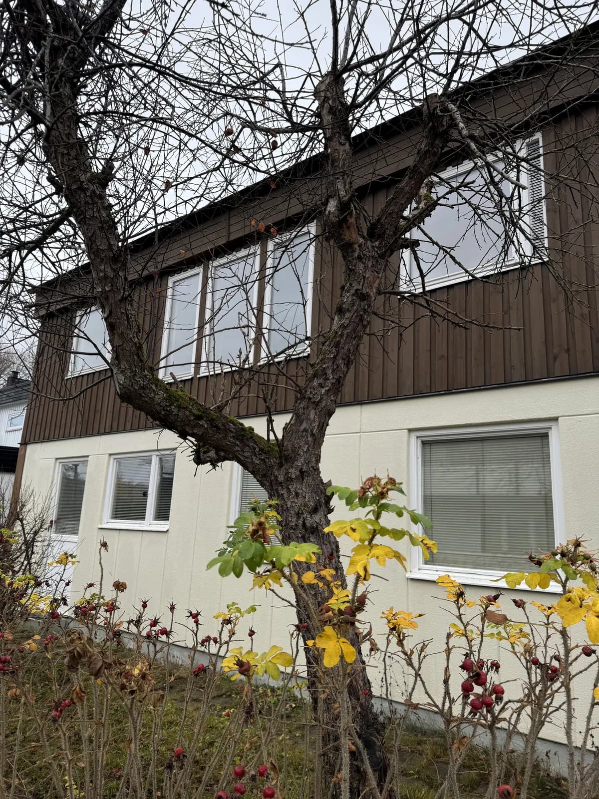 Ålgrytevägen i Skärholmen